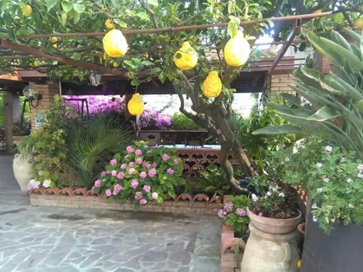 B&B La Porta Del Cilento Capaccio Exterior foto